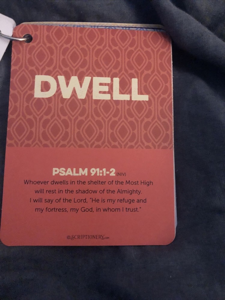 Scriptionery - Go forth Scripture Truths 20 Bible Verses Cards on a ring