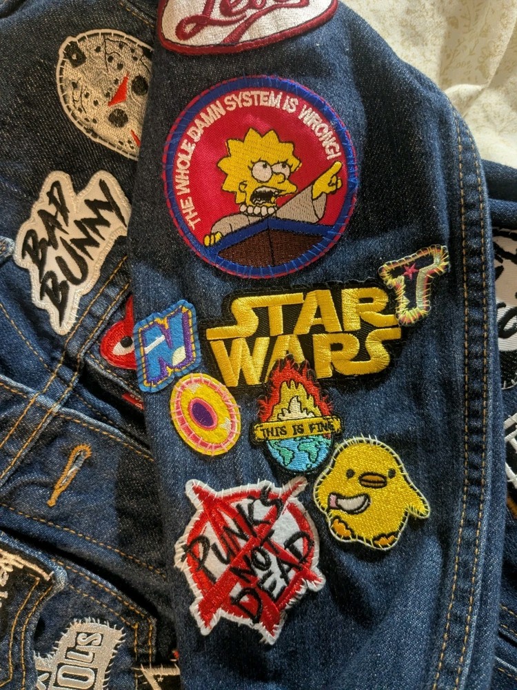 Lisa Simpsons Patch The Whole System Is Wrong Embroidered Iron On Patch 3"