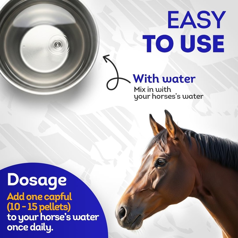 HA4E - Equine Protozoal Myeloencephalitis (EPM) Support - Reduces Weakness, A...