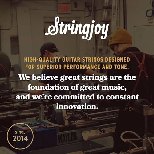 Stringjoy NB1254 Phosphor Bronze Acoustic Guitar Strings, Assorted Sizes