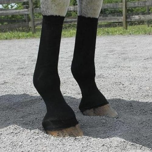 EquiFit HorseSox Individual Pack - Horse