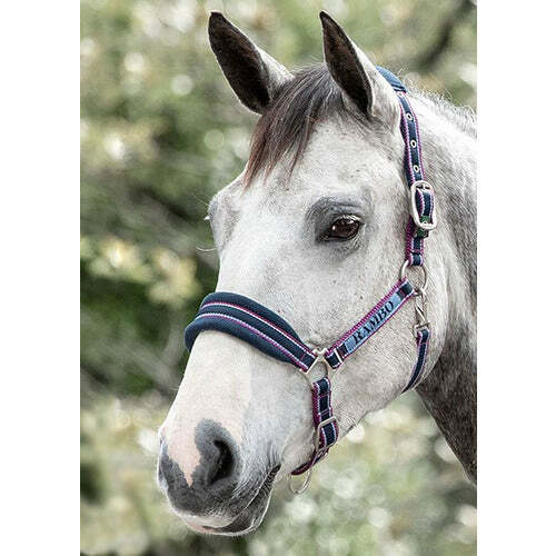 Horseware Rambo Padded Halter CLOSEOUT