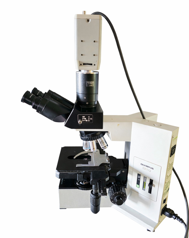 Olympus BX40 Upright Laboratory Microscope with Digital Camera
