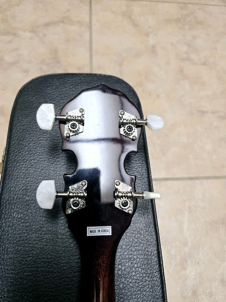 Johnson JB100 5 String Banjo