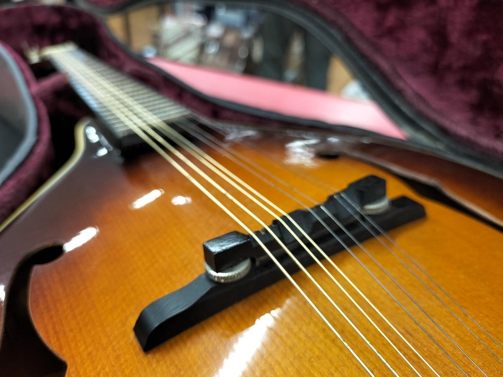 BLUERIDGE BM300F/TS Mandolin