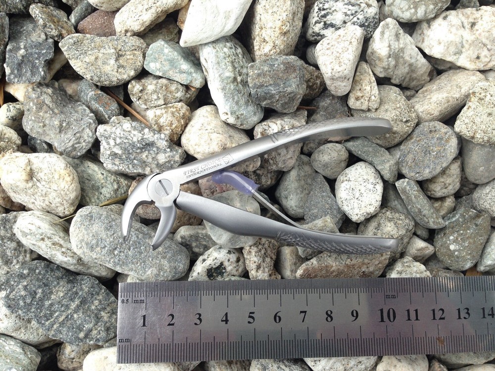 Children's Forceps Spring Lower Molars Universal Fig 6. #1183