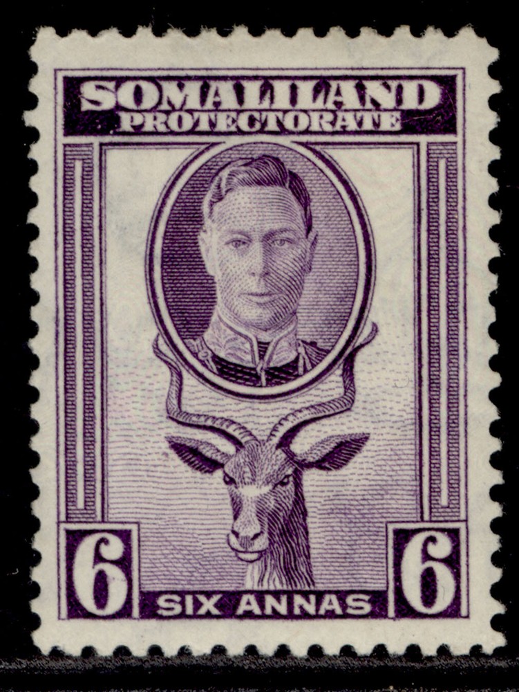 SOMALILAND PROTECTORATE GVI SG110, 6a violet, M MINT.
