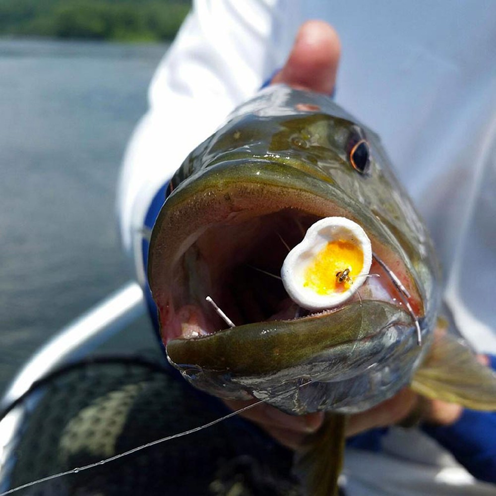 Flymen Surface Seducer Double Barrel Bodies