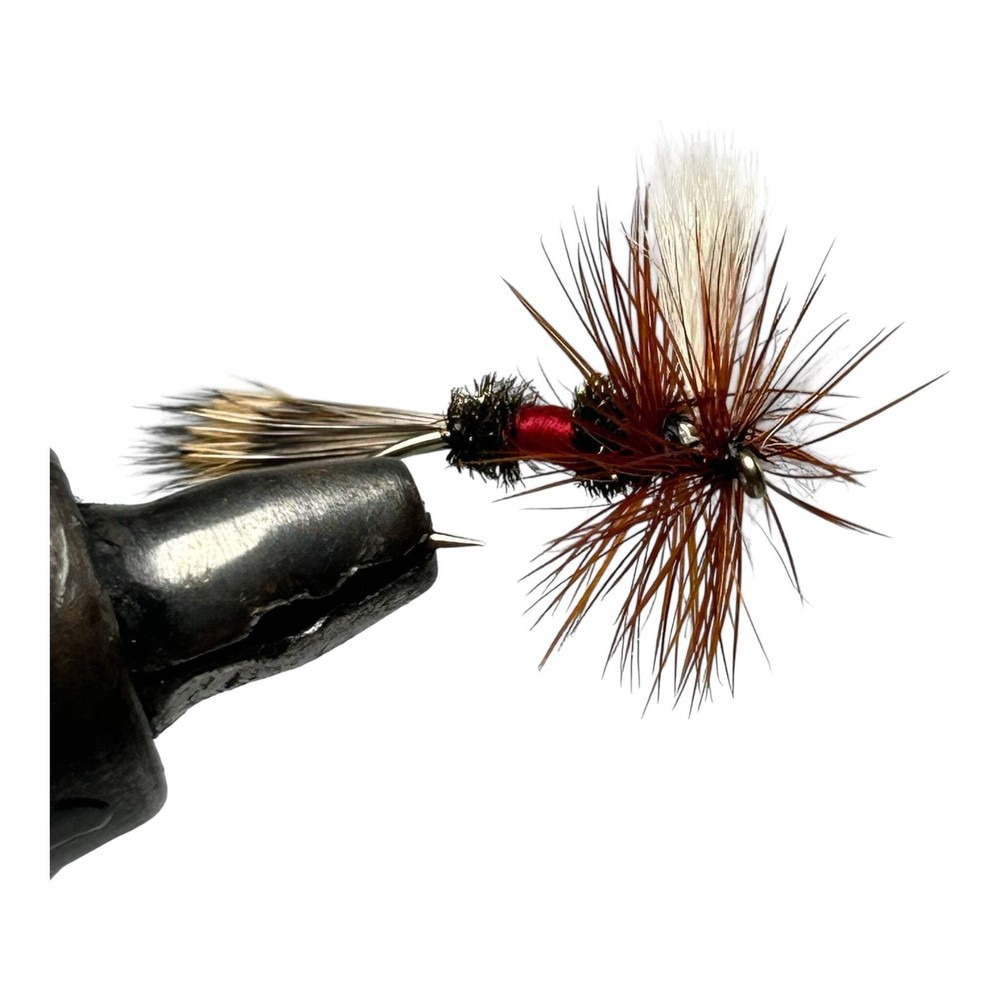 One Dozen (12) - Royal Wulff - Dry Fly