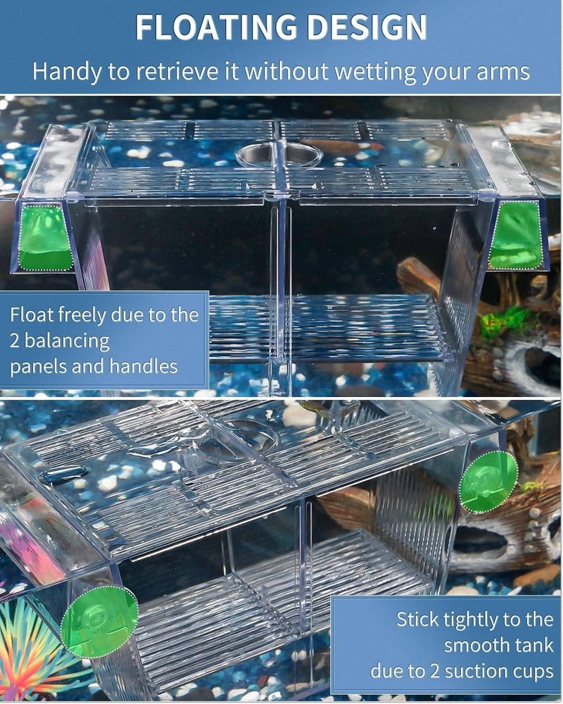 Space-Saving Acrylic Fish Breeding Box with Removable Separators & Suction Cups
