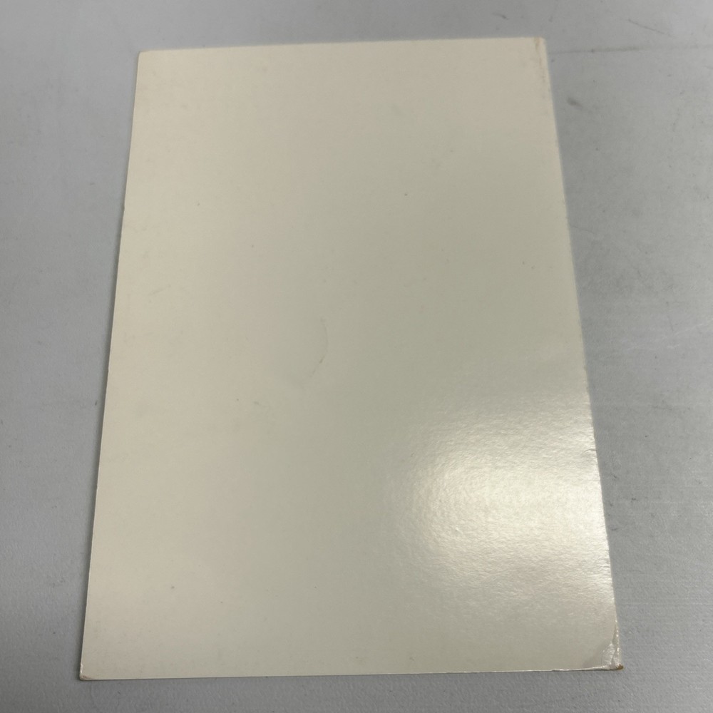 Flamingo Cafe Vintage Menu. B22