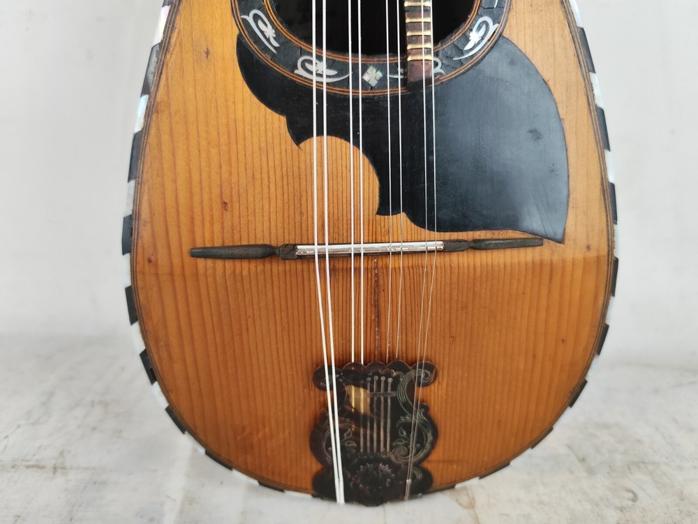 Mandolin 4/4 Ernesto Bessone 1900 Rome 曼陀林 만돌린マンドリン