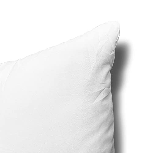 Throw Pillow Inserts, Set of 2 Lightweight Down Alternative Polyester Pillow,