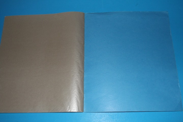 Wingra Mint Sheet File Capacity 10 pgs 2 pocket 12.75" x 10.75" BlueLakeStamps
