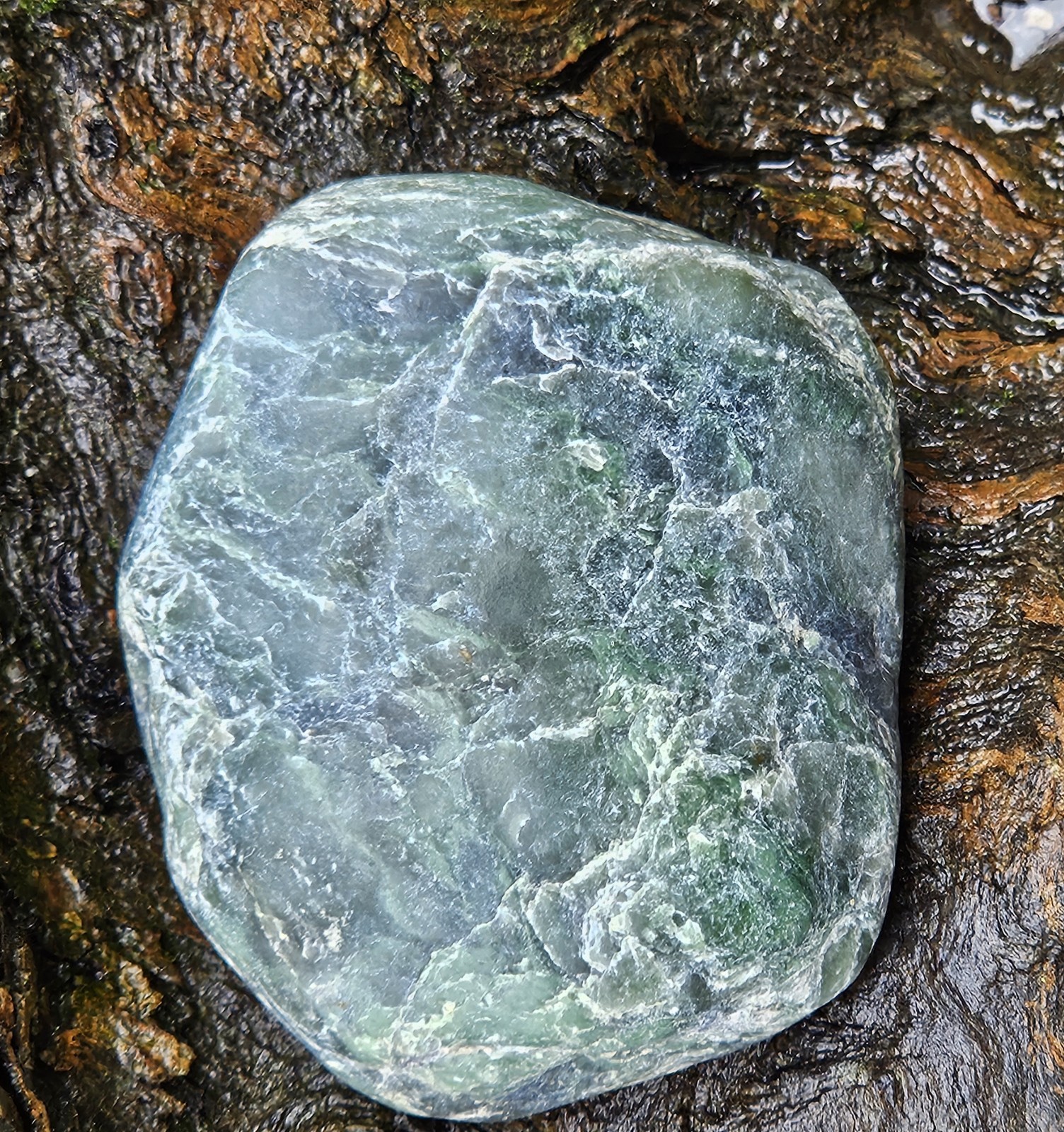 Nephrite Transluscent Jade Rough Jade Cove Willow Creek California 329 Grams