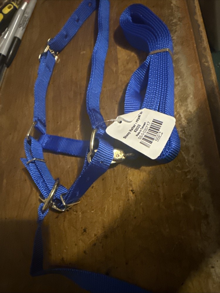 Sheep Halter With Lead —Blue