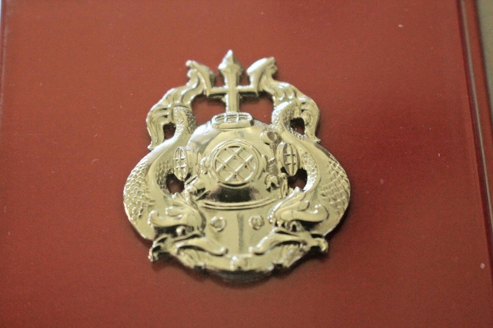 US ARMY GI UNIFORM FULL SIZE MASTER DIVER BRIGHT SILVER QUALIFICATION BADGE