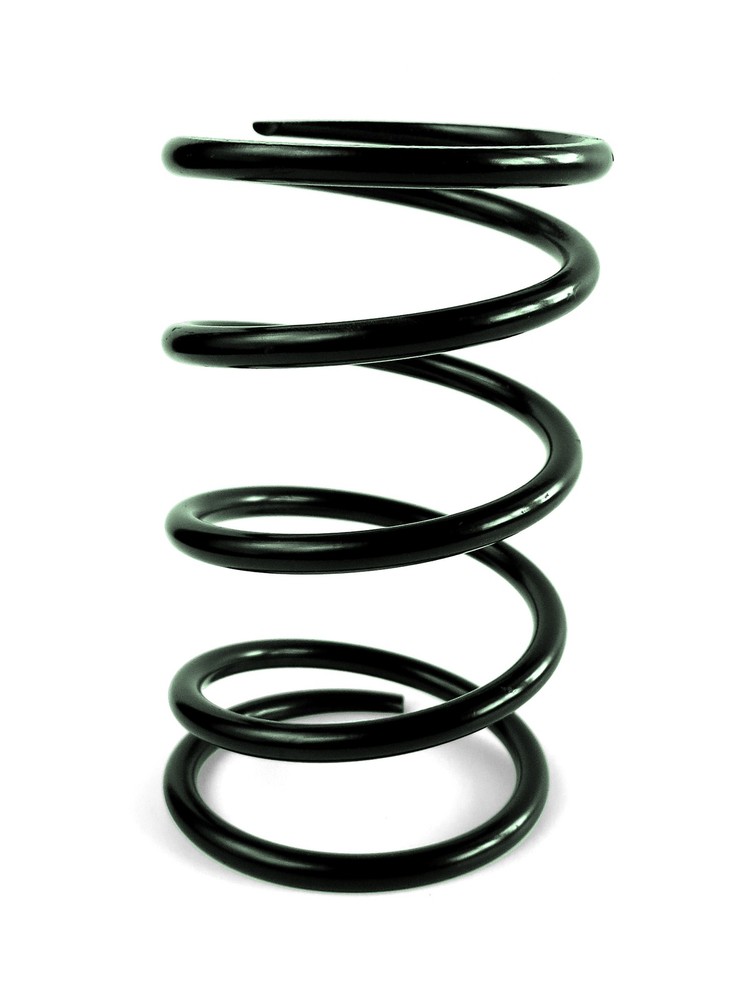 EPI PEBS8 ERLANDSON CLUTCH SPRING ,GREEN