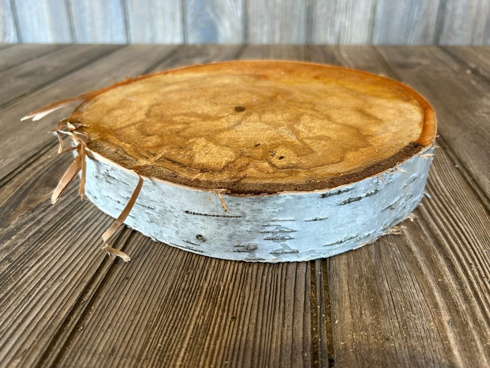 White Birch Slice Approximately 9 Inches Diameter