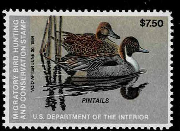 Single     Face Value Duck Stamps RW 50