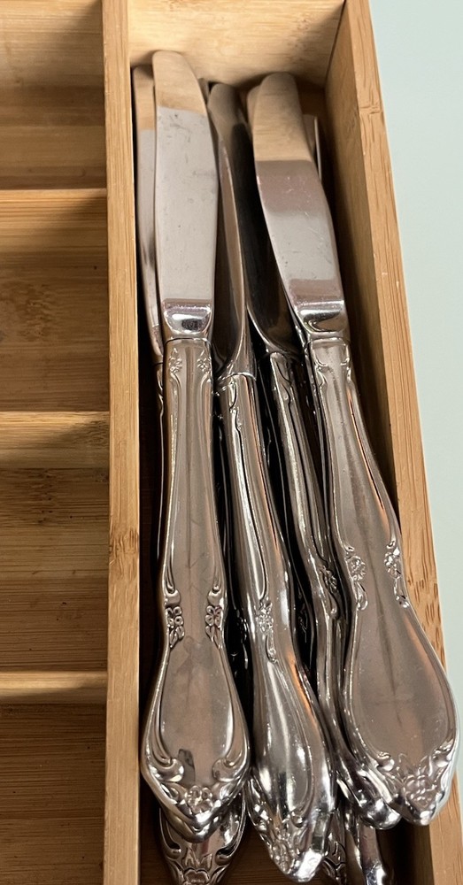Oneida Community Chatelaine 49 piece Stainless Flatware Set *READ*