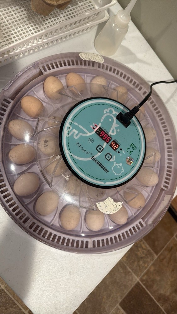 MeeF Digital Egg Incubator for Hatching Eggs