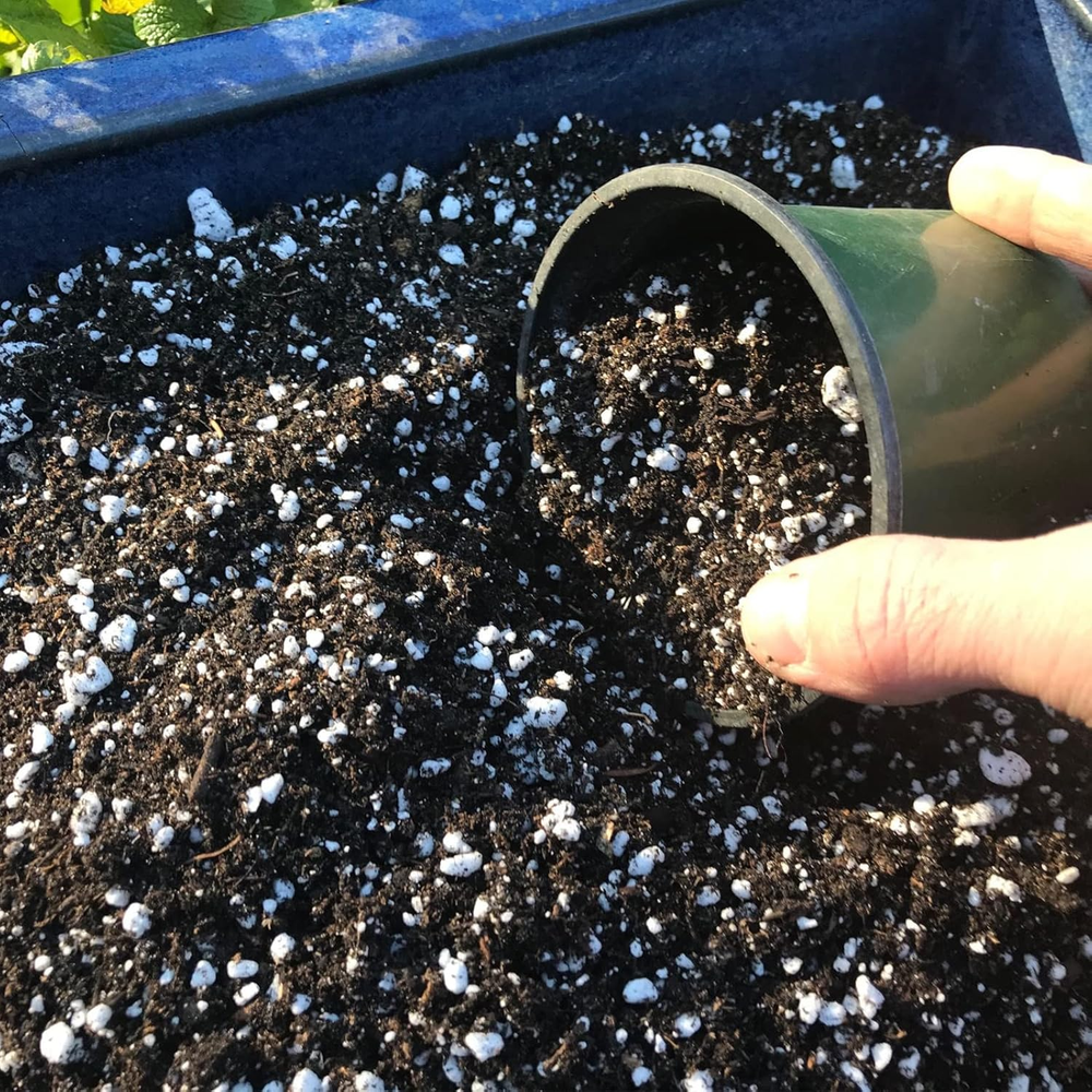 Organic Perlite for Plants, Soil Amendment for Enhanced Drainage and Growth, Ide
