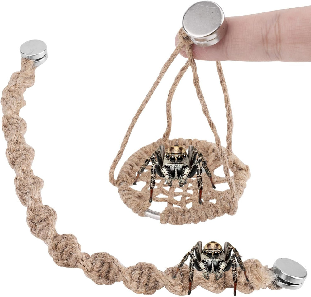 Magnetic Jumping Spider Rope Bridge & Ladders for Tiny Pet Enclosures