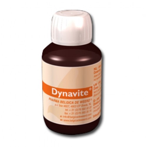 Dynavite by Belgica de Weerd