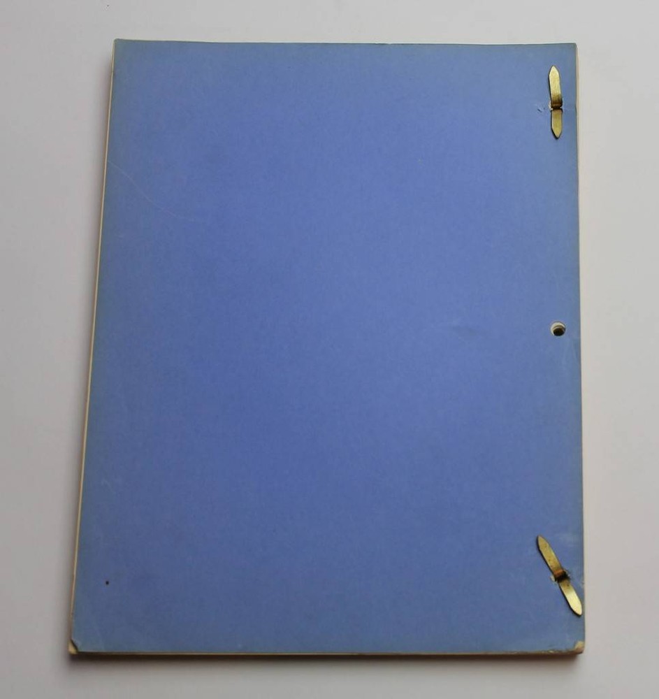 DIVORCE AMERICAN STYLE / Norman Lear 1966 Screenplay, Dick Van Dyke