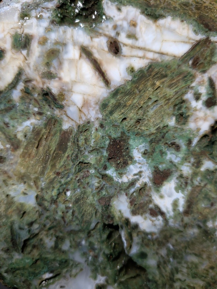 Hampton Butte Slab Specimen (1lb 8oz)