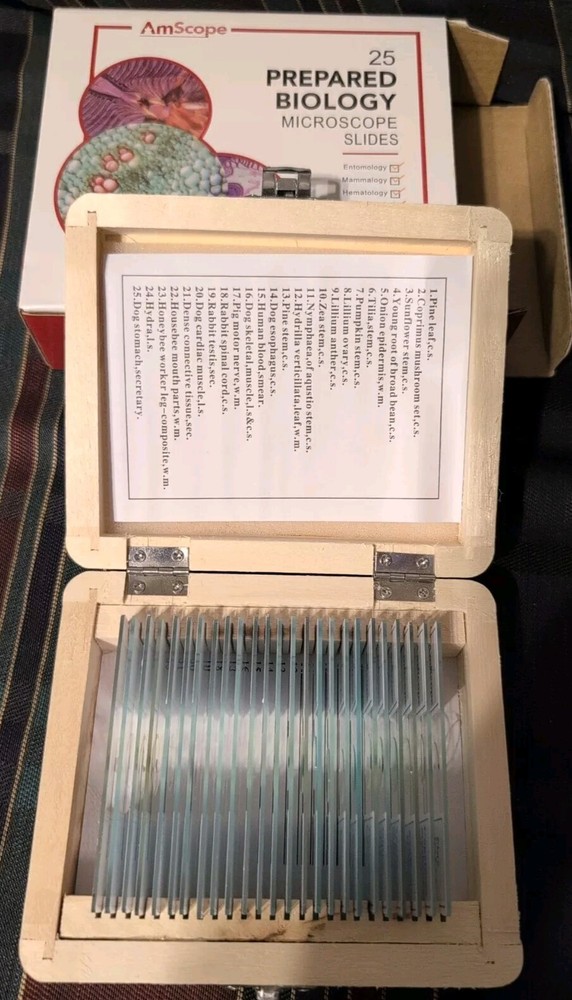 AM Scope 25 Prepared Biology Microscope Slides