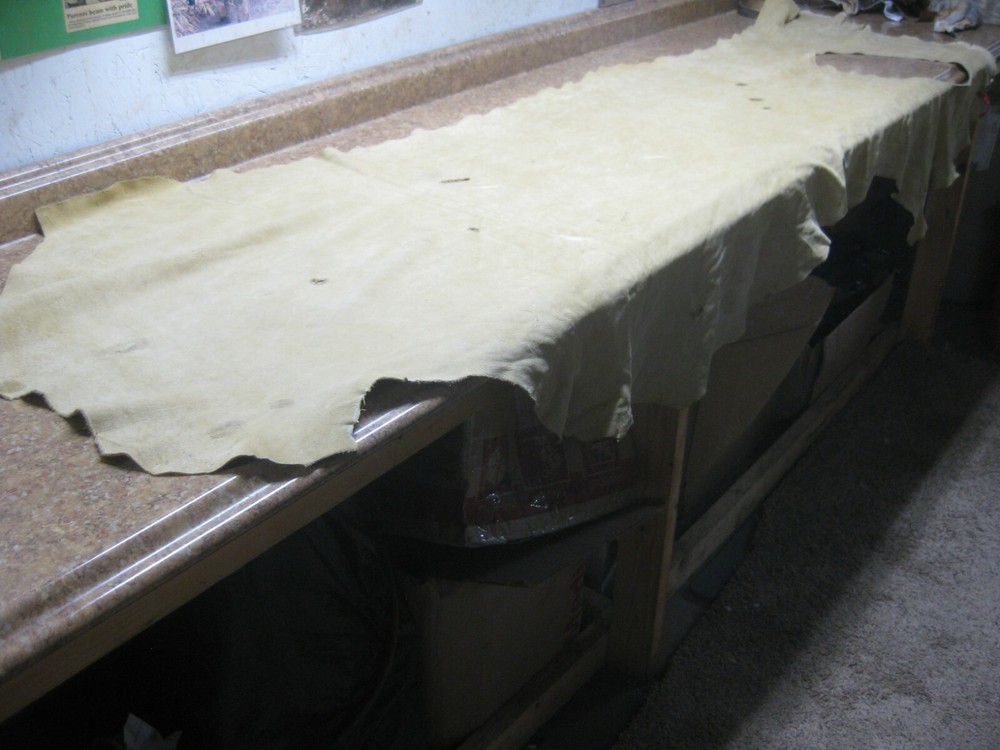 Buffed Buffalo Leather #0013068 Row 28