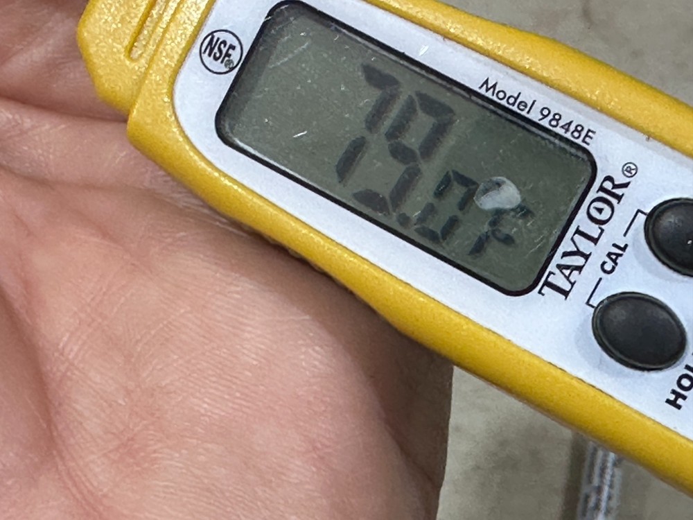 Taylor 9848E Digital Thermometer