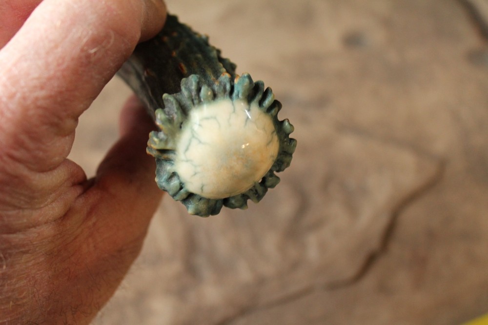 ~Deer antler knife handle ~ Flintknapping supply tool