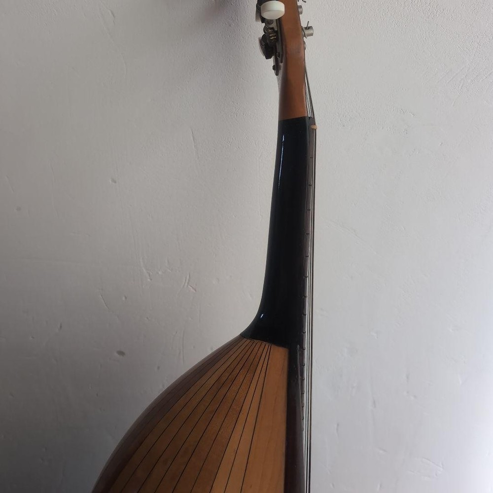 Suzuki Mandolin 1968 no70