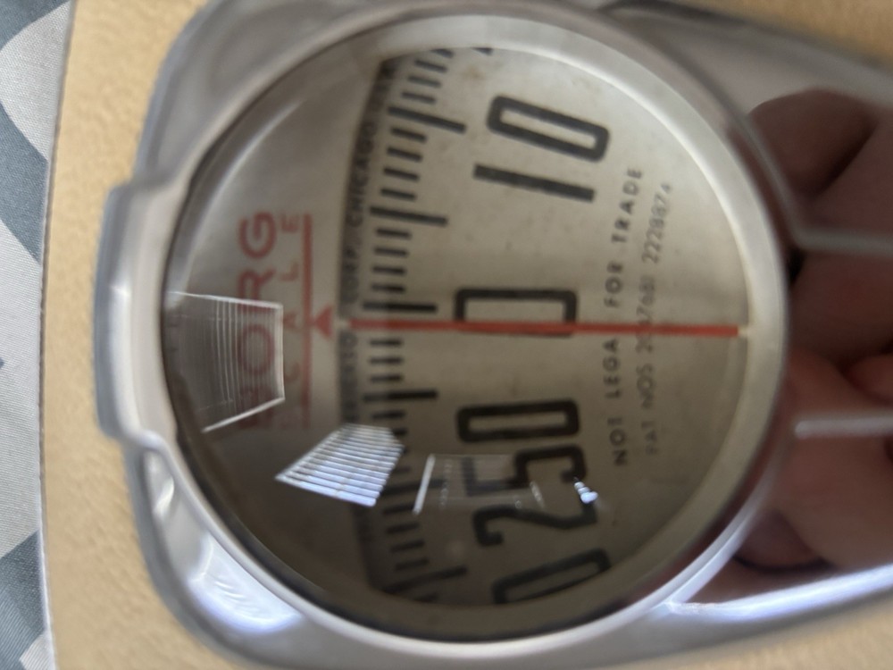 Borg Bathroom Weight Scale