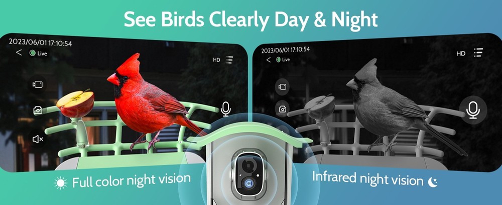 Bird Feeder with Camera, Smart Bird Feeder Camera with Solar Panel, AI Identify