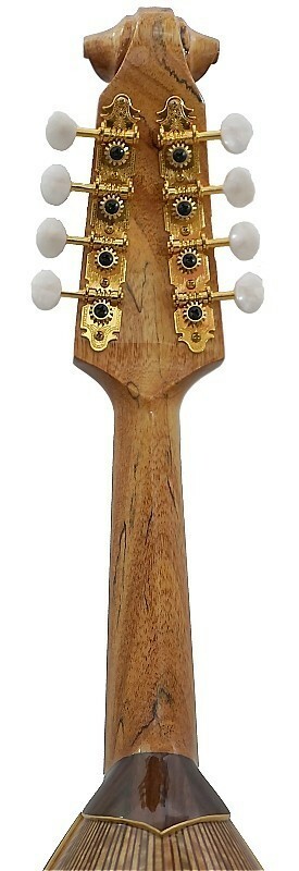 Bowl Back Mandolin Solid Spruce top curl Maple back Violin head NBMI (70-89)