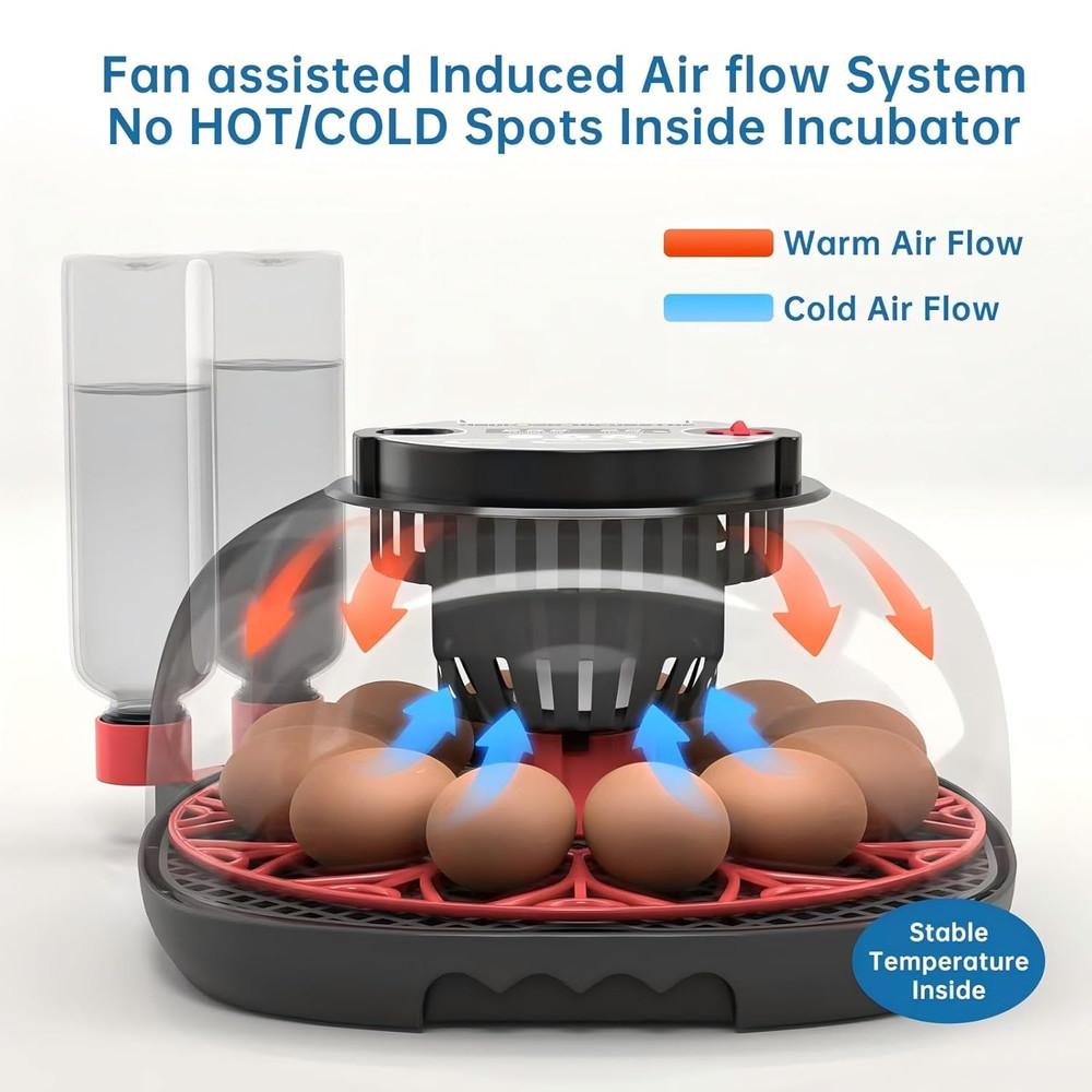 Automatic 12-24 Egg Incubator with Humidity Display & Egg Candler