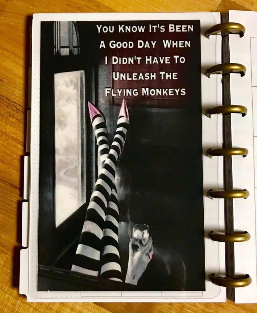 Flying Monkeys DASHBOARD Insert for use with the MINI Happy Planner-