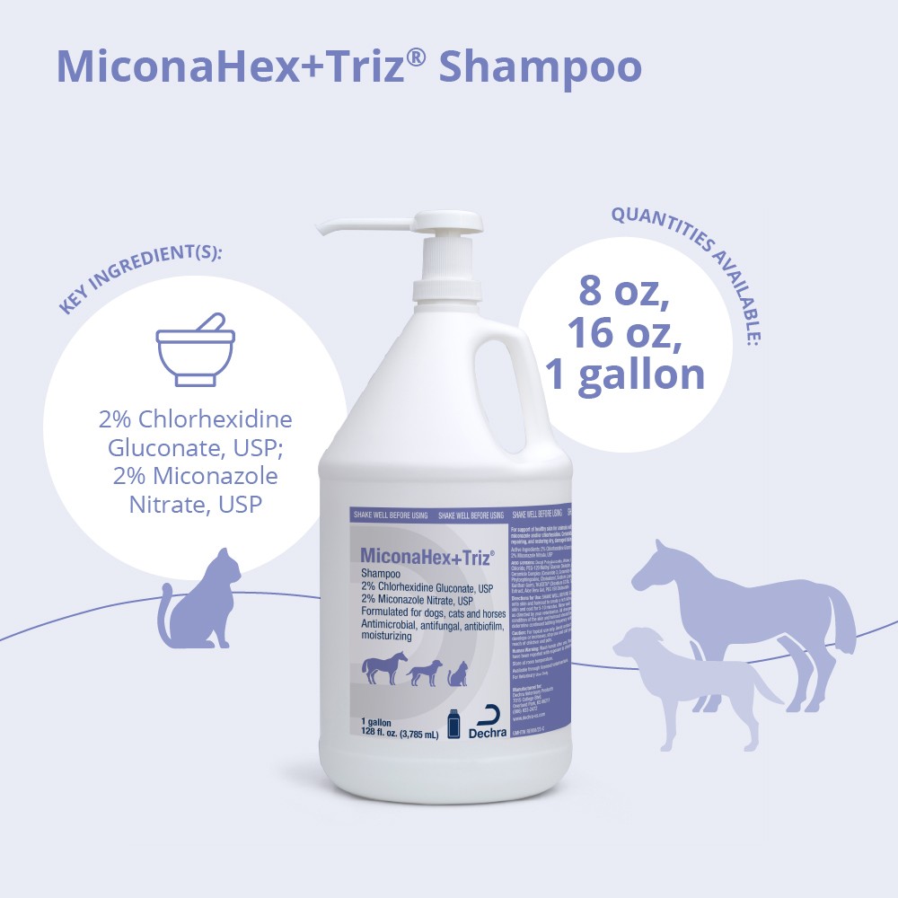 MiconaHex+Triz Shampoo 013DP-73015