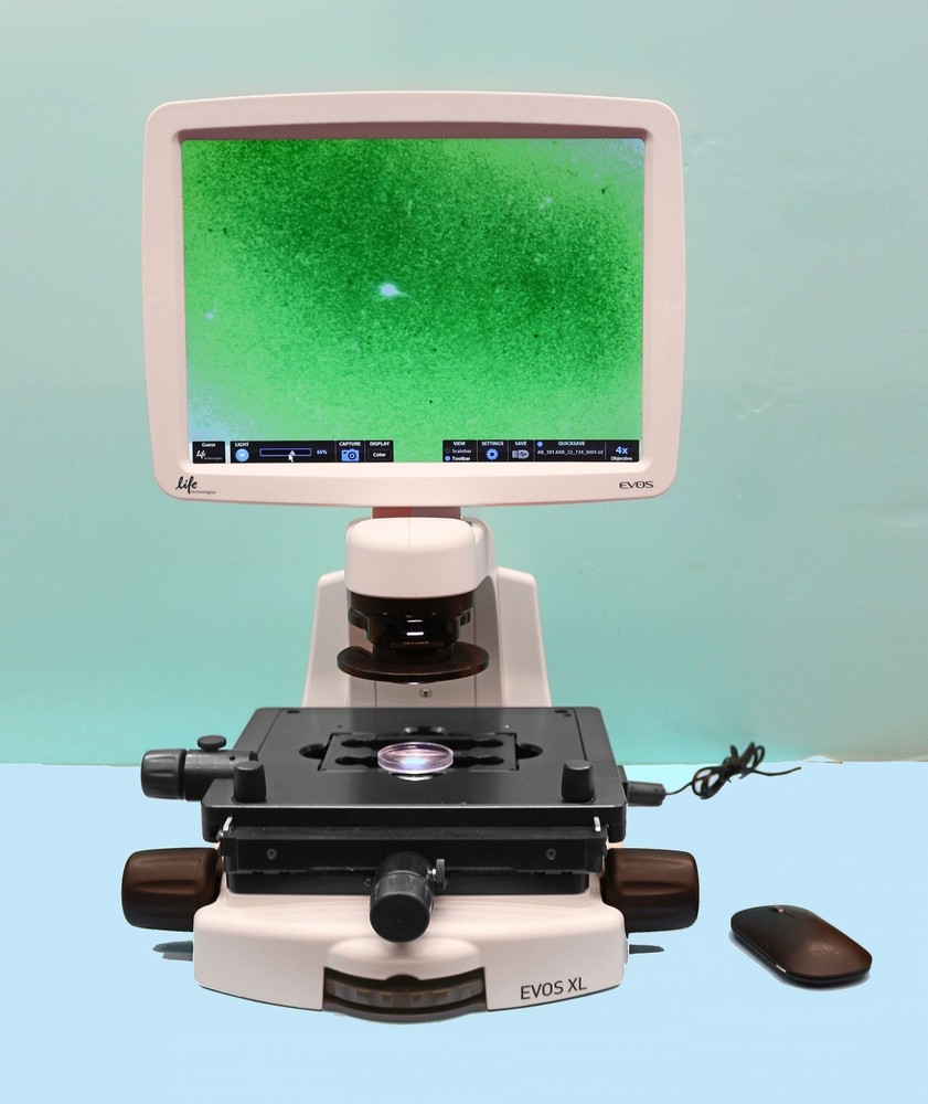 Invitrogen Life technologies AMG EVOS XL Phase Contrast Digital Microscope