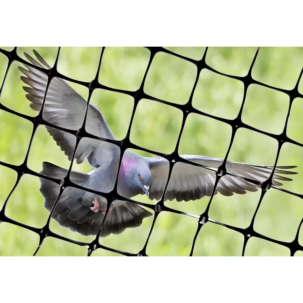 100 Ft. X 14 Ft. Structural Bird Netting