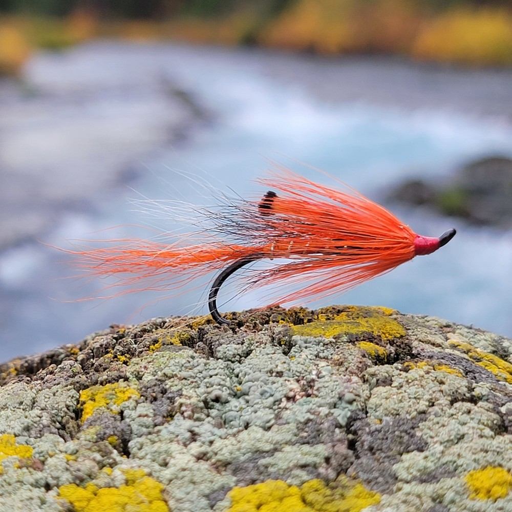 Ally's Shrimp Orange