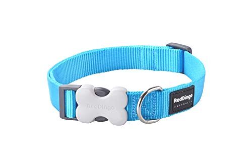 Red Dingo Classic Dog Collar