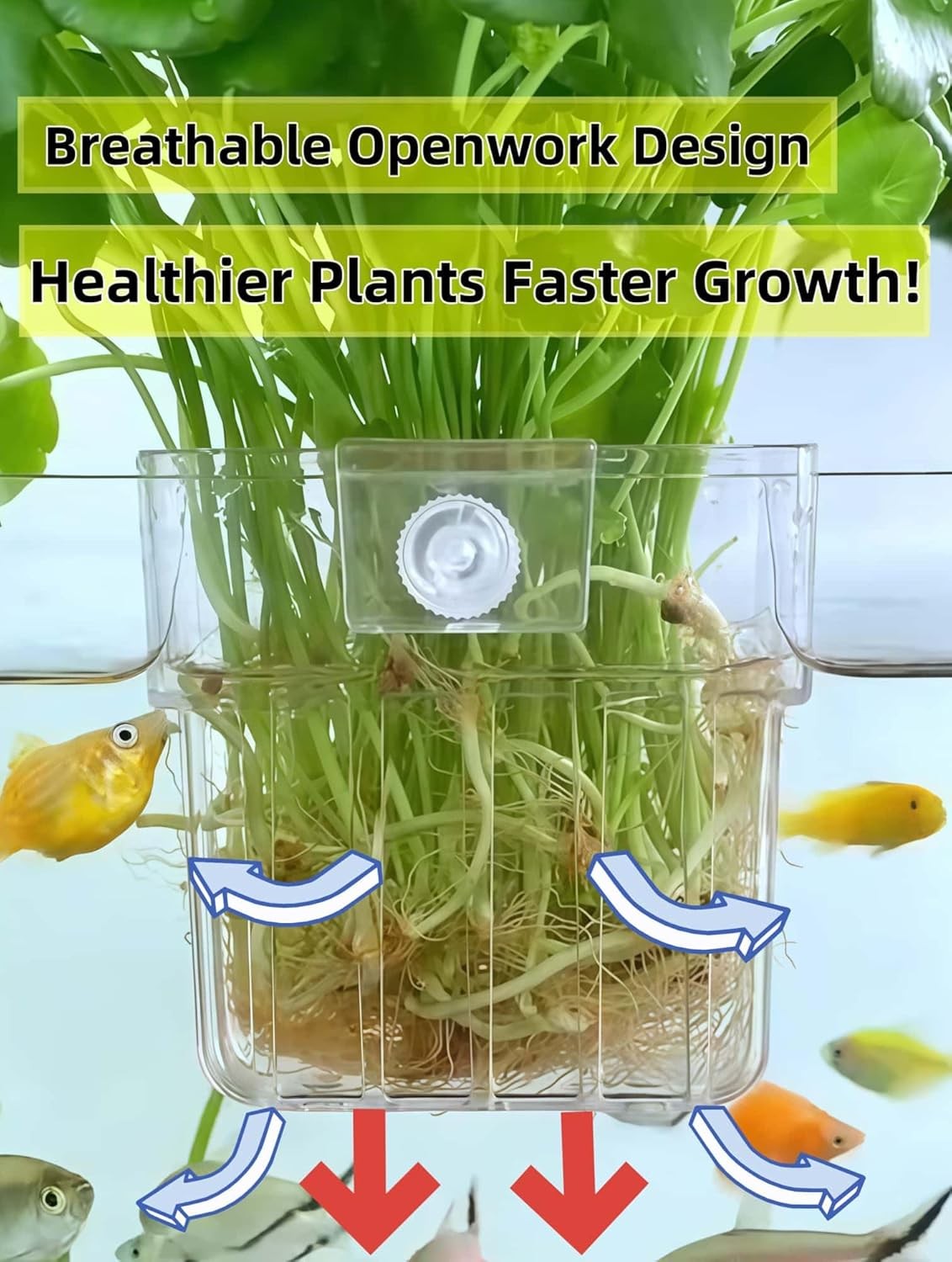 2 Pack Clear Aquarium Plant Holder Top Hanging Fish Tank Plant Holders Fits up t