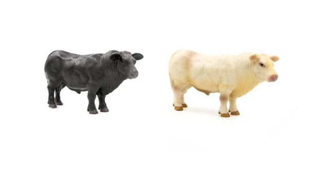 Little Buster Toys Livestock Bundle, 12 piece 5 Different Cows & Calves, 2 Bulls