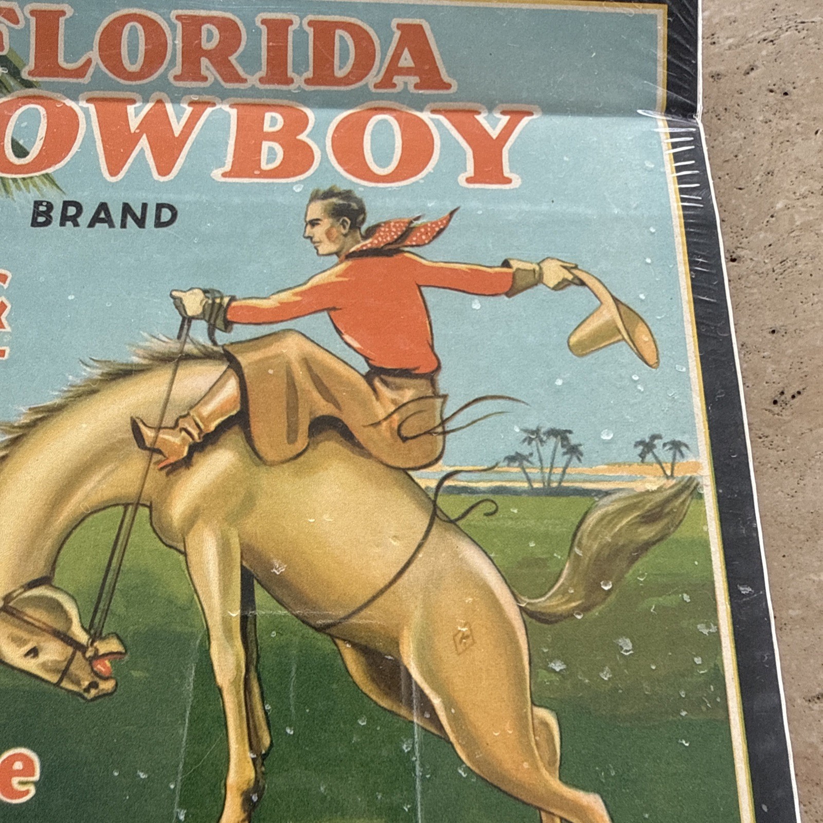 Original Vintage Florida Cowboy Citrus Crate Label Kissimmee Growers Horse Art