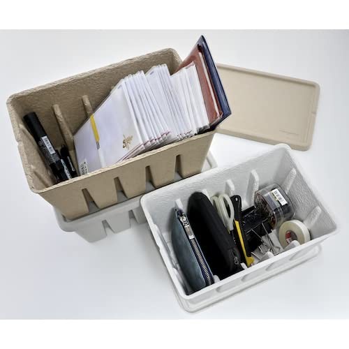 Pulp Tool Box M White bPTBM-W